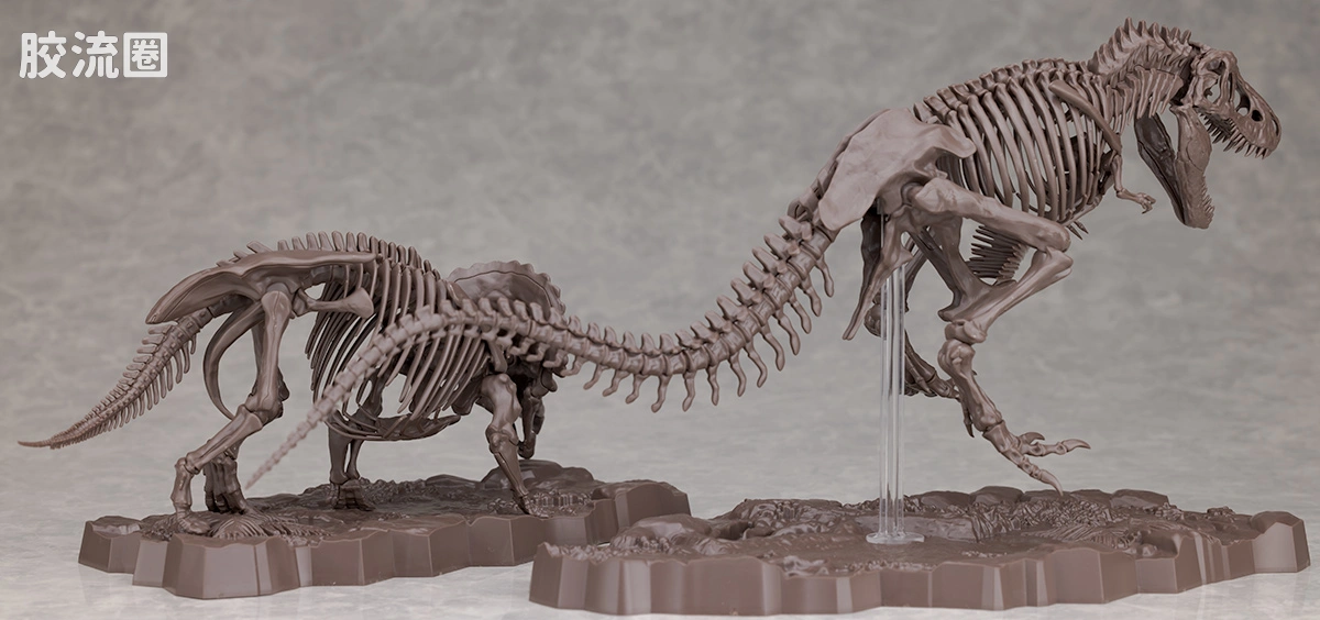 万代综合拼装模型系列 Imaginary Skeleton系列 三角龙 - 图片